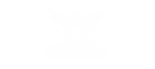 logo_INTER